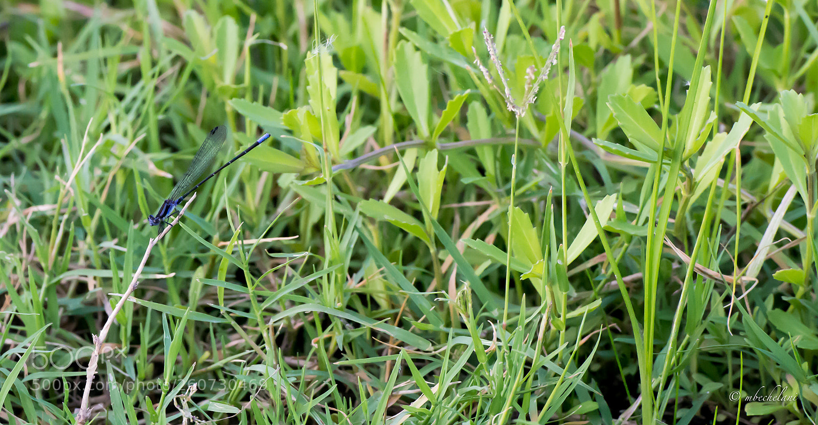 Nikon D800 sample photo. Dsc photography