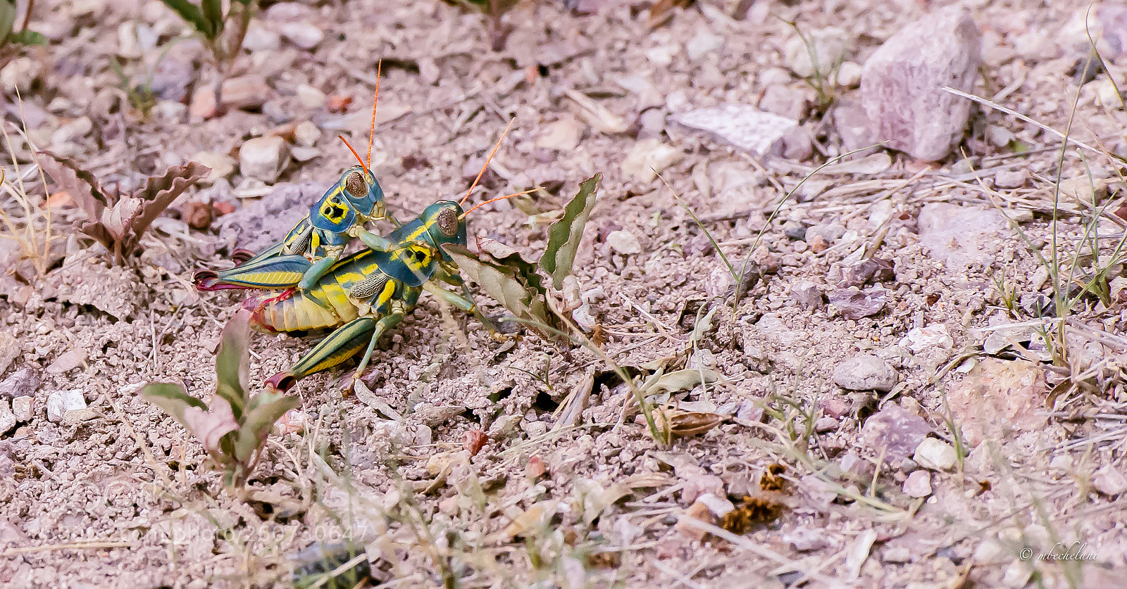 Nikon D800 sample photo. Dsc photography