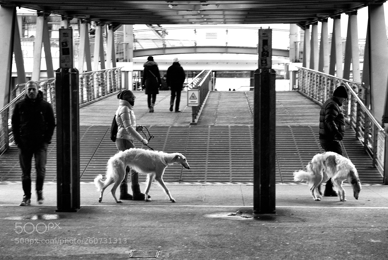 Canon EOS 80D sample photo. Hamburg impressions photography
