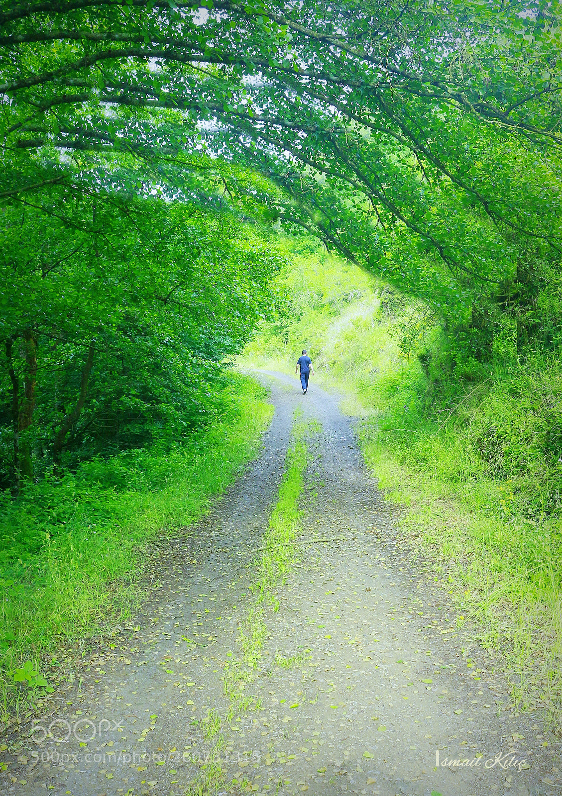 Canon EOS 650D (EOS Rebel T4i / EOS Kiss X6i) sample photo. Yeşi yol photography