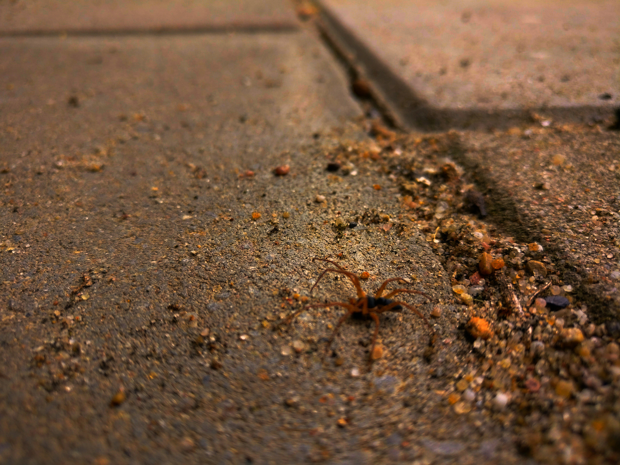 OnePlus A3003 sample photo. On a mission photography