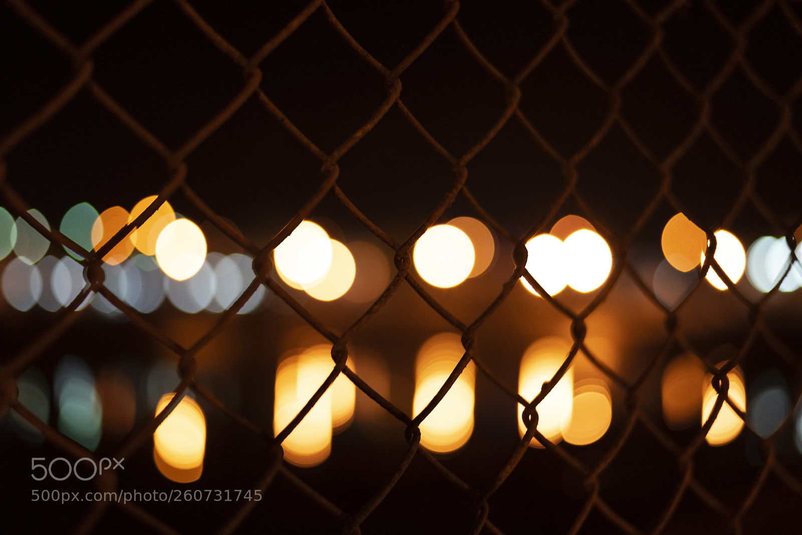 Nikon D750 sample photo. Lights photography