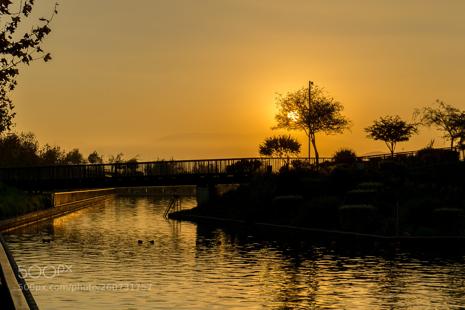 Sony a6000 sample photo. Atardecer otoñal photography