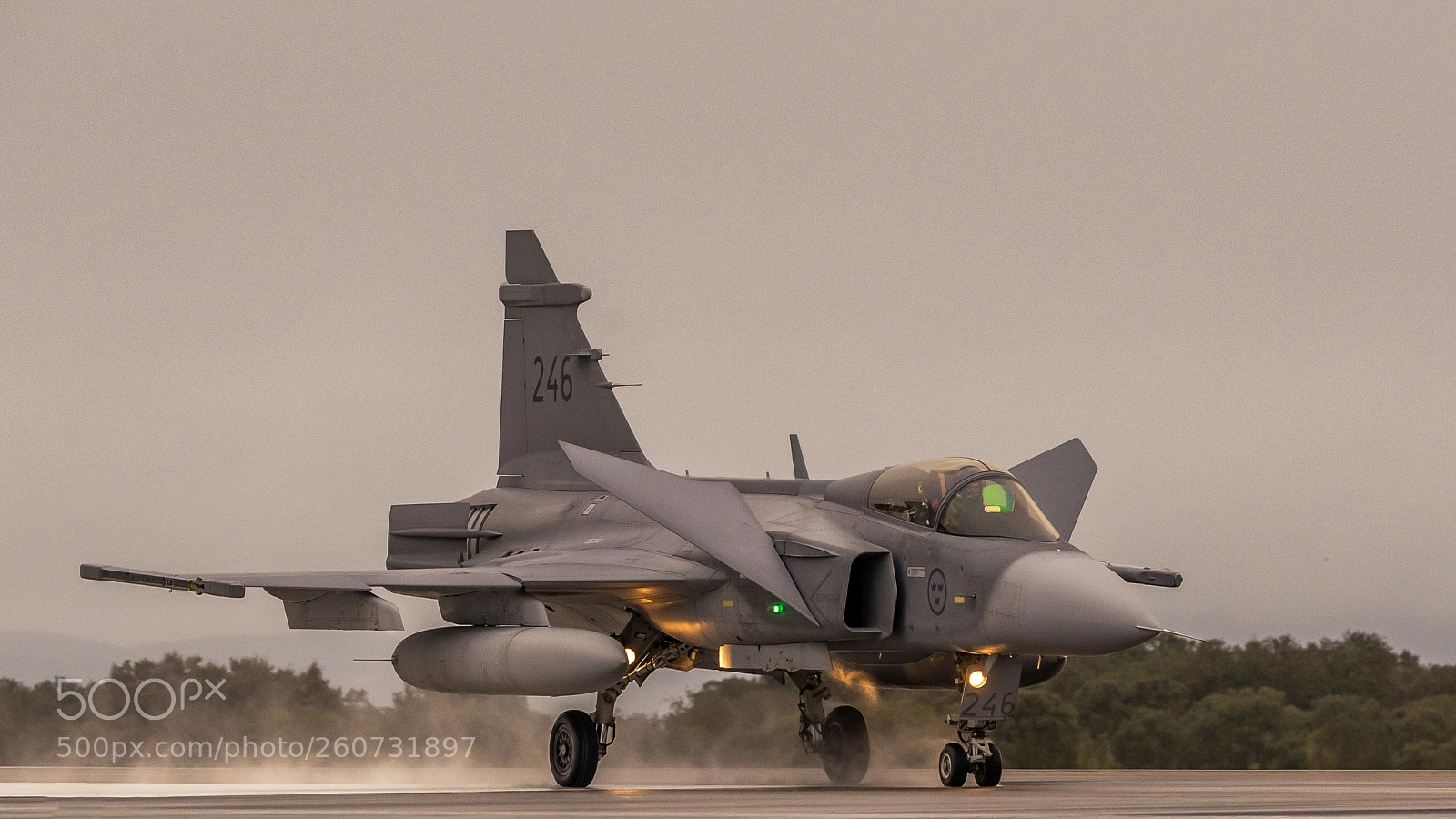 Nikon D610 sample photo. Gripen 246 photography