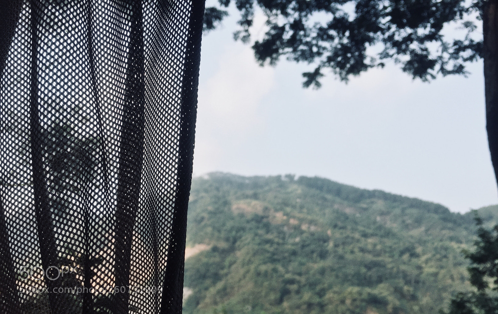 Apple iPhone 6 sample photo. ? photography