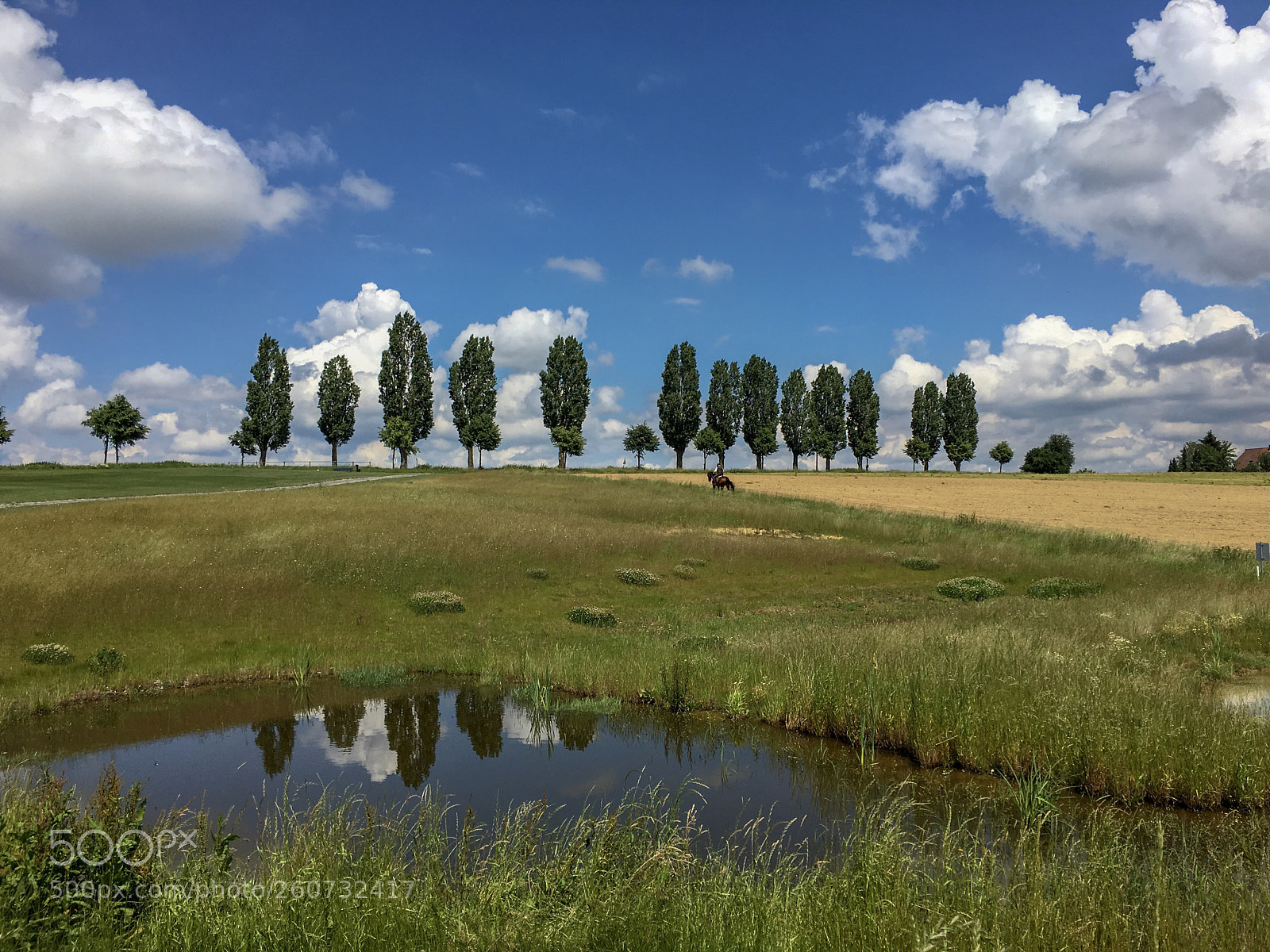 Apple iPhone 6s sample photo. Golfclub batzenhof - karlsruhe photography