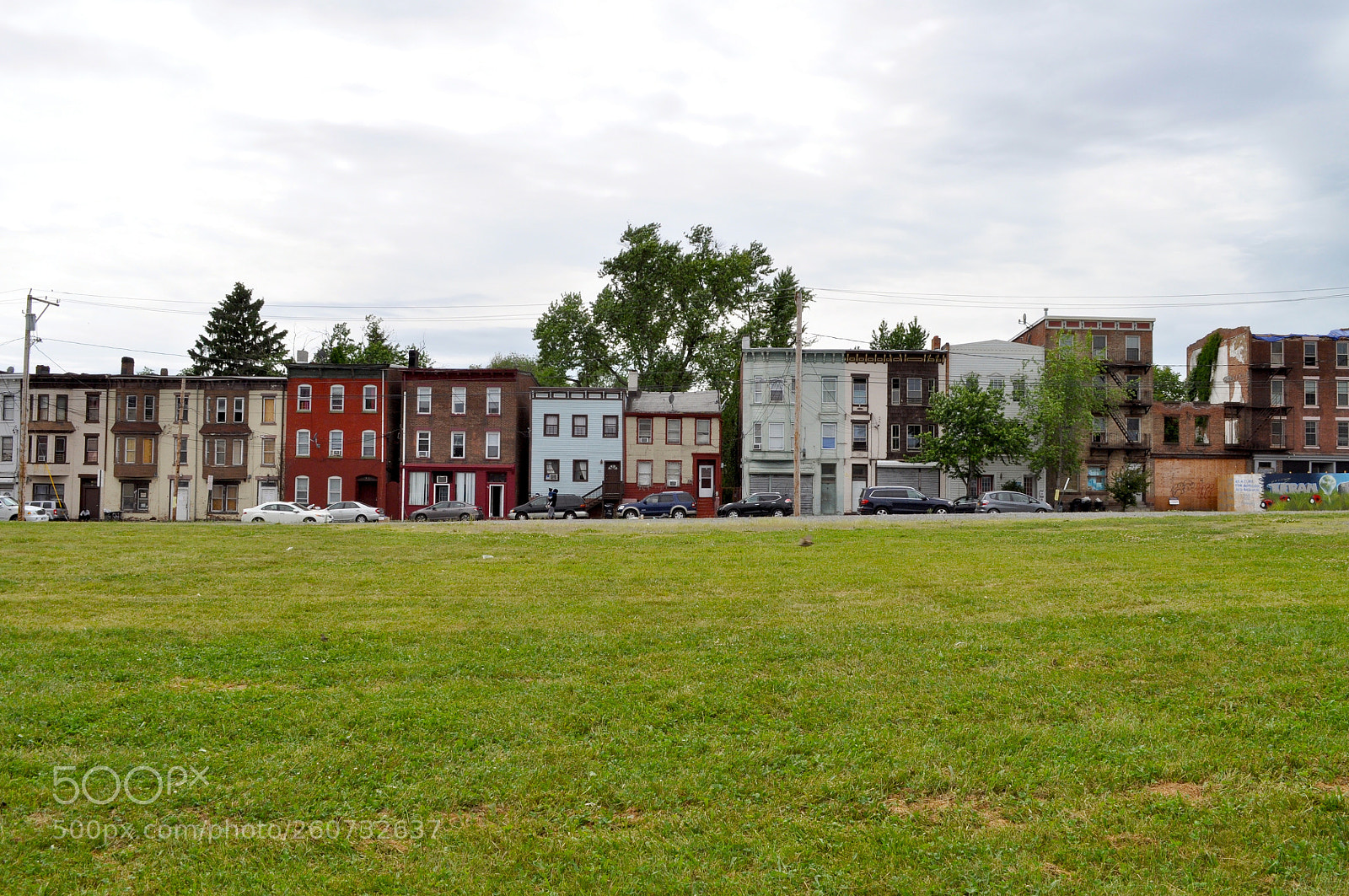 Nikon D5000 sample photo. Liberty lawn photography