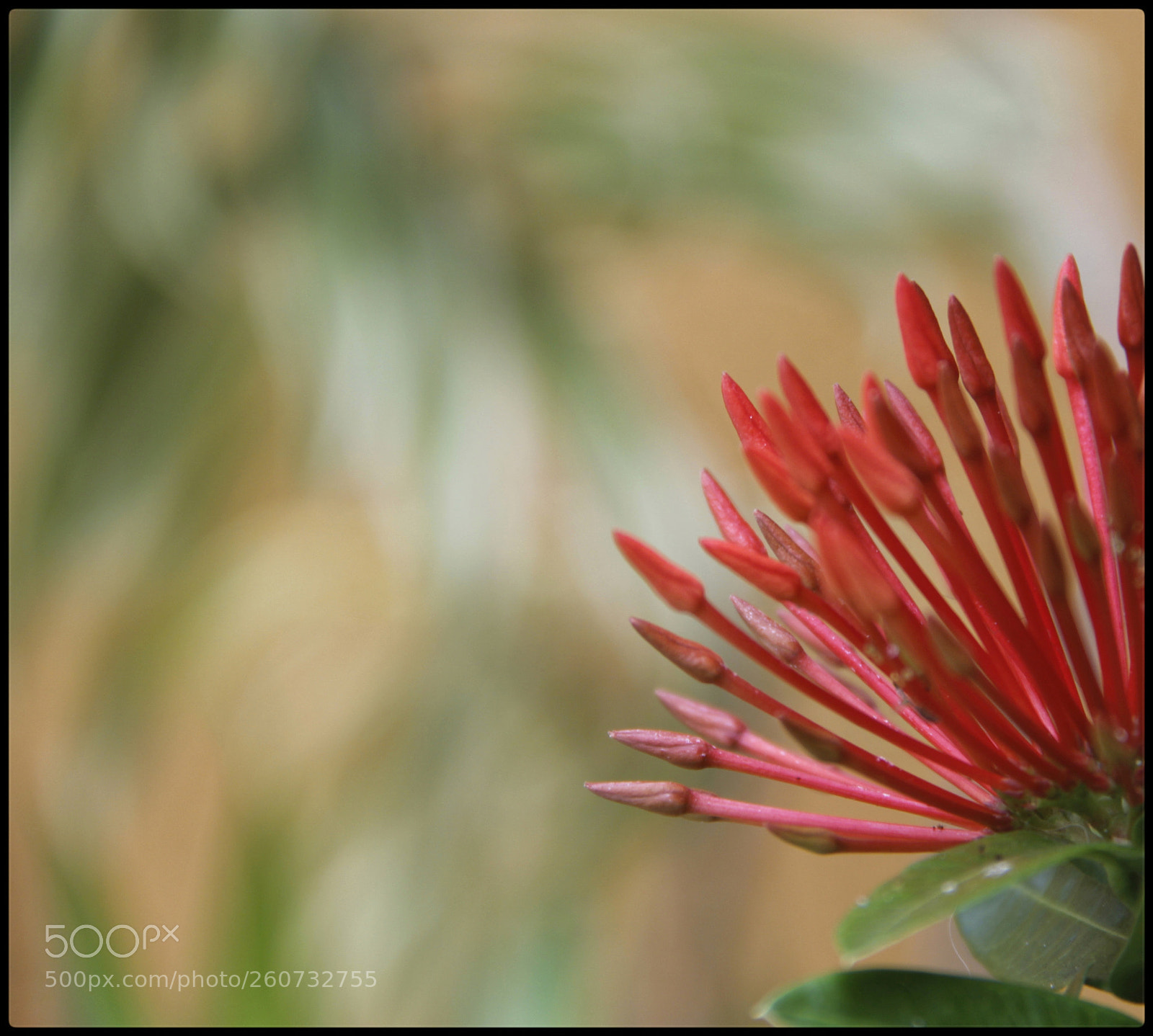 Canon EOS 60D sample photo. Untitled photography