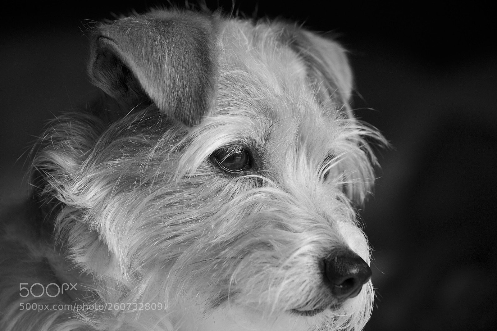 Nikon Df sample photo. Jrt photography