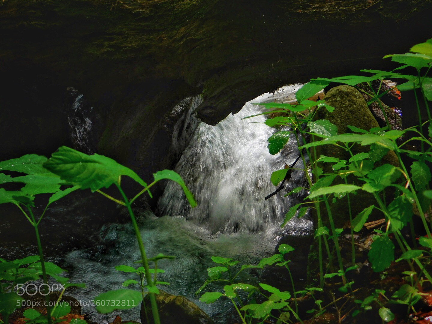 Nikon Coolpix B500 sample photo. Cascade  photography