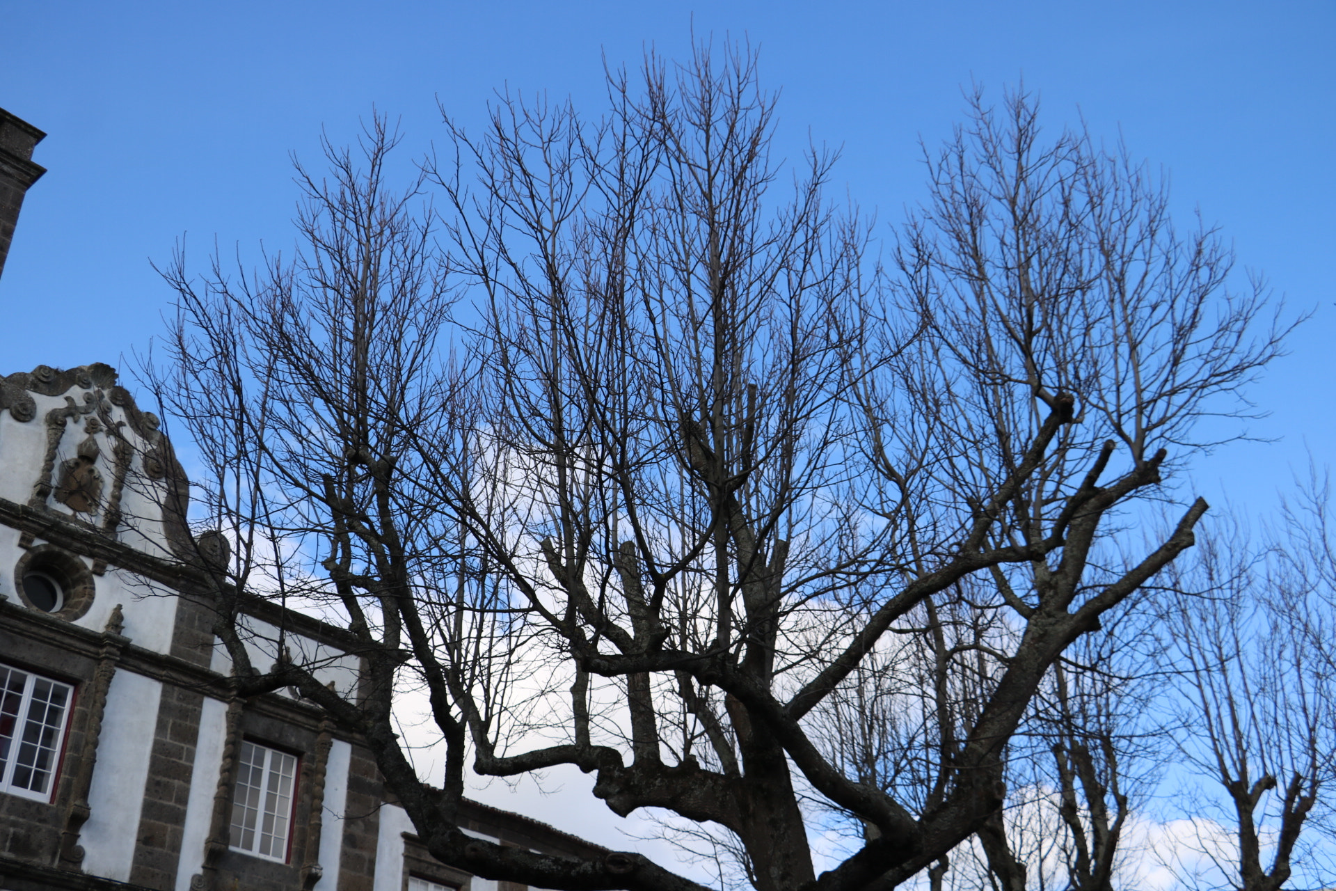 Canon EOS 750D (EOS Rebel T6i / EOS Kiss X8i) sample photo