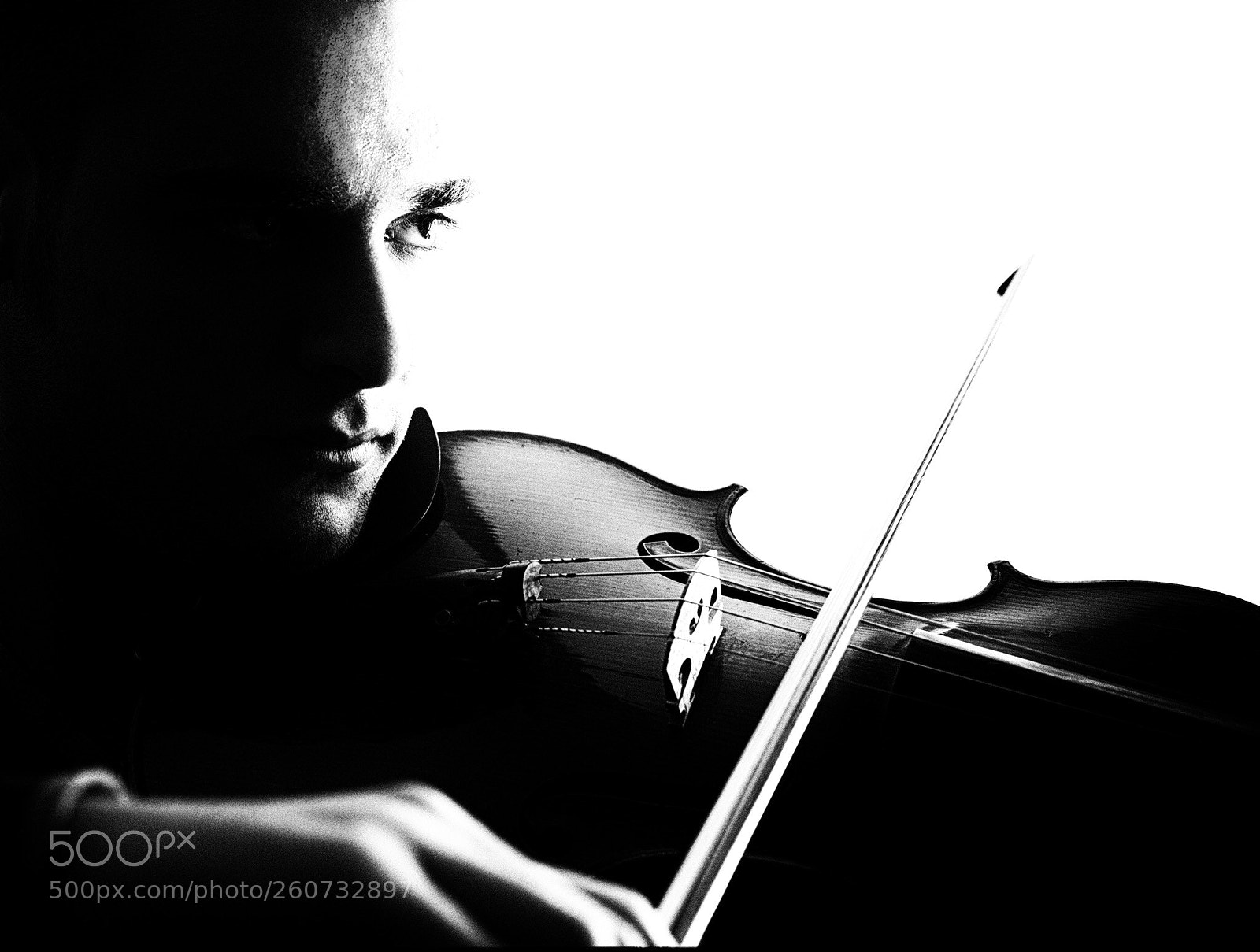 Nikon Df sample photo. Viola player photography