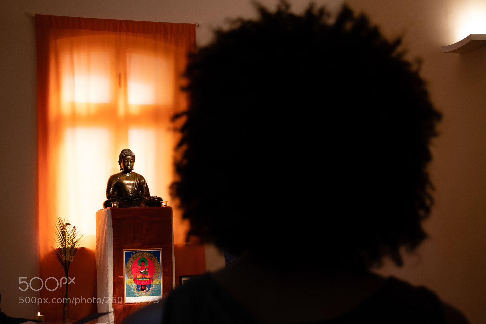 Canon EOS 80D sample photo. Buddha's teaching photography