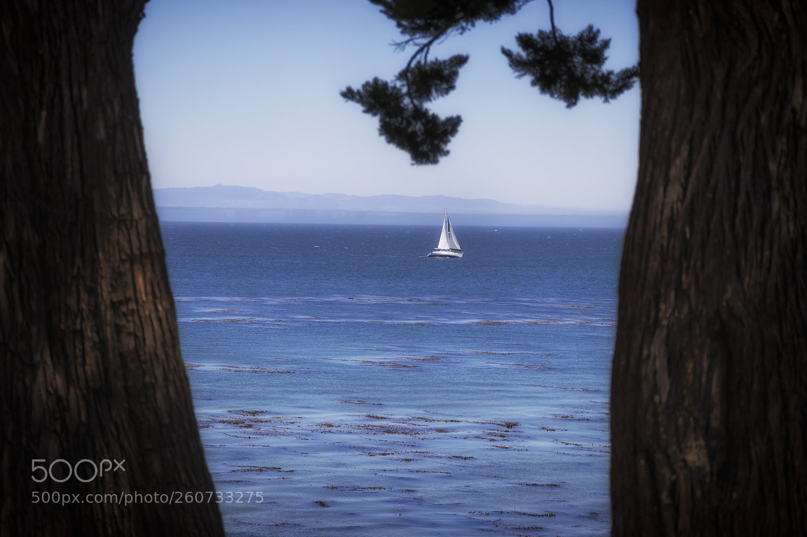 Canon EOS 80D sample photo. Sailing photography