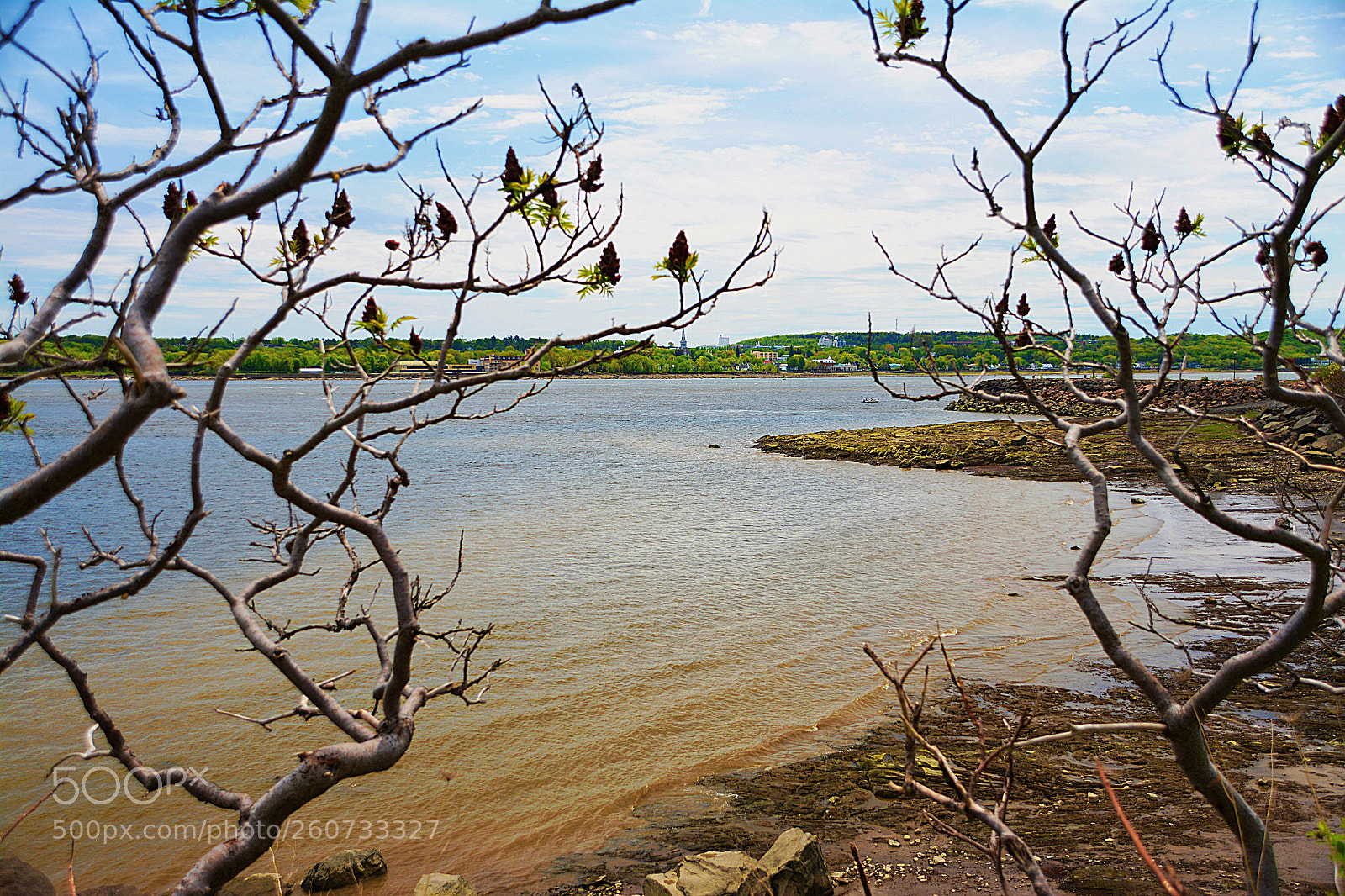 Nikon D7100 sample photo. Le st-laurent photography