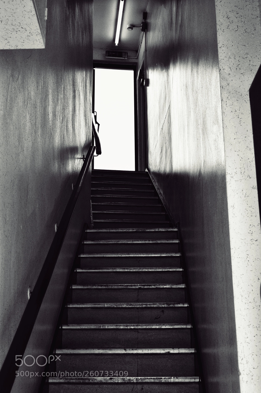 Nikon D5300 sample photo. "the area manager's upstairs" photography