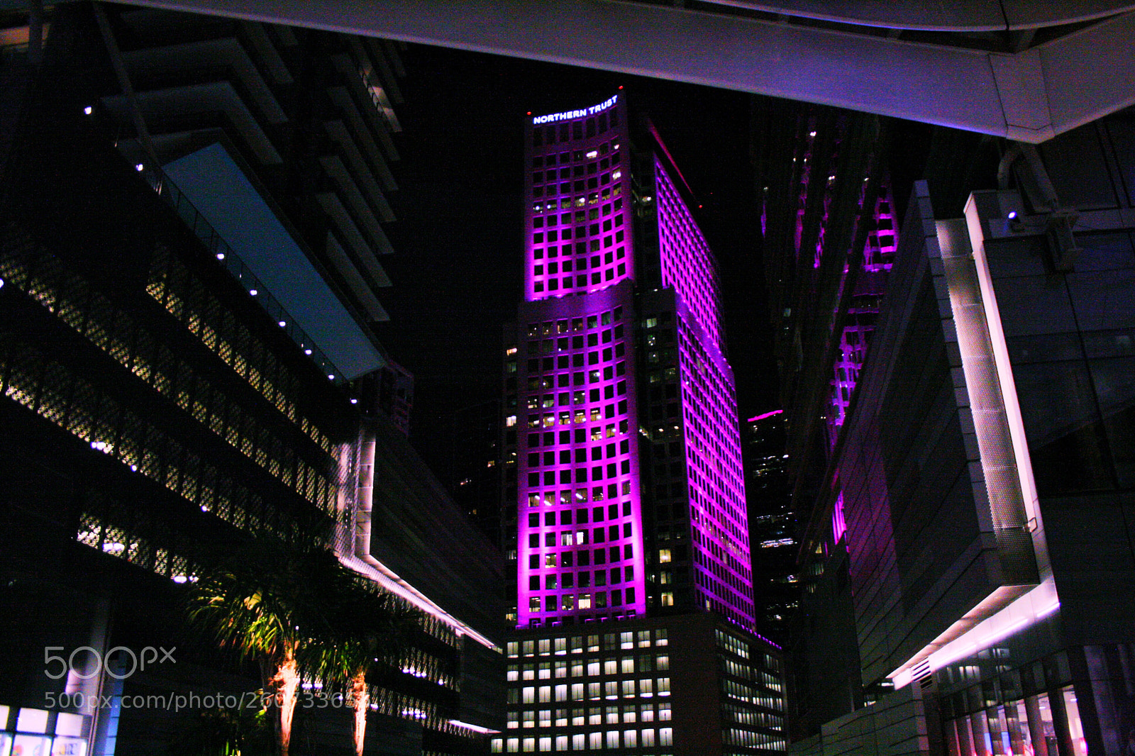 Canon EOS 400D (EOS Digital Rebel XTi / EOS Kiss Digital X) sample photo. Purple building of miami photography