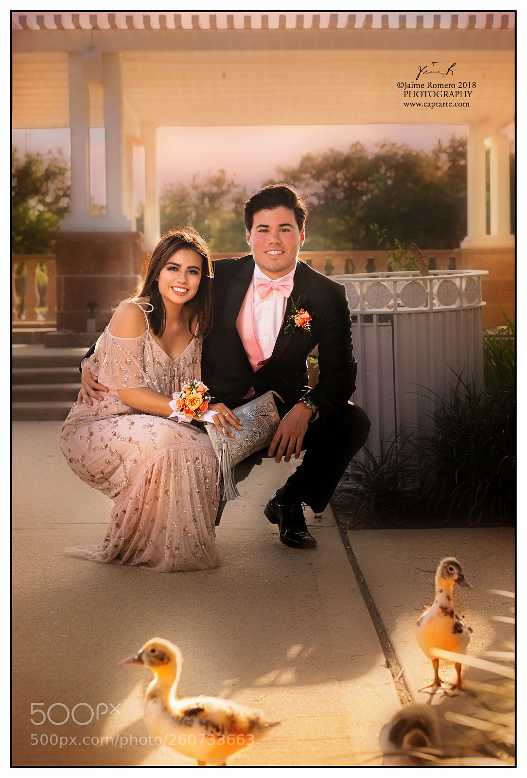 Canon EOS 5D Mark IV sample photo. Ducks at the prom photography