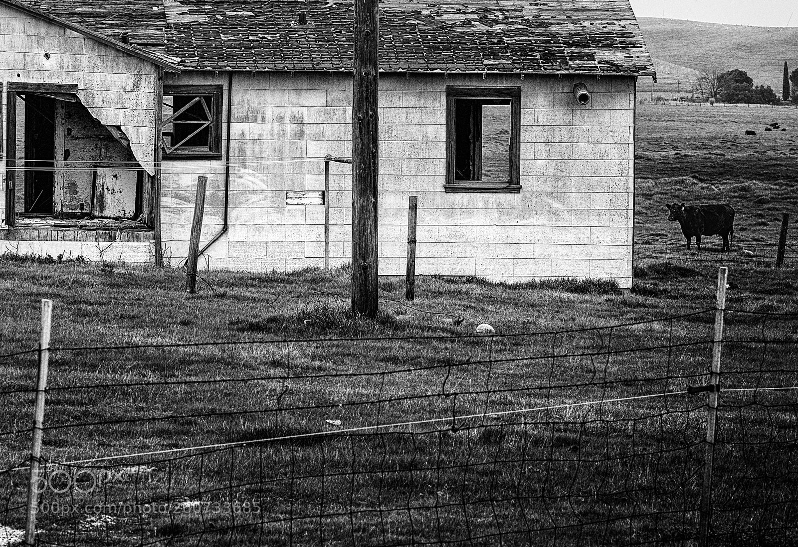 Canon EOS-1D X sample photo. Untitled 29 photography