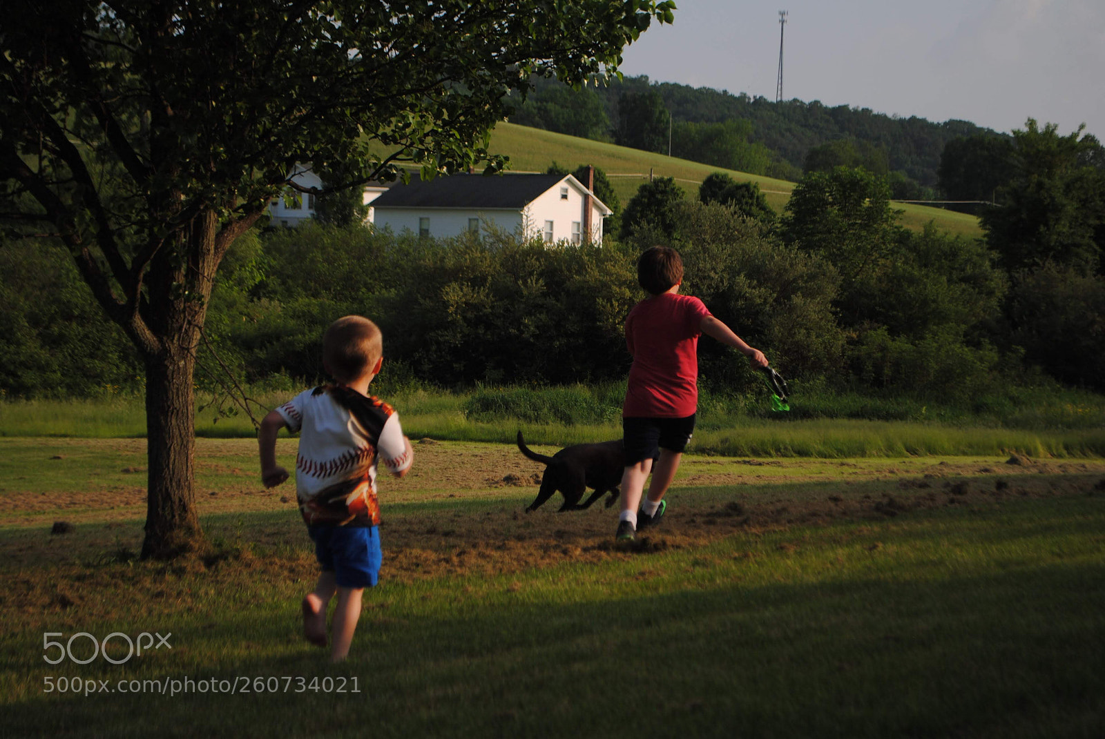 Nikon D3000 sample photo. Friends as the sun photography
