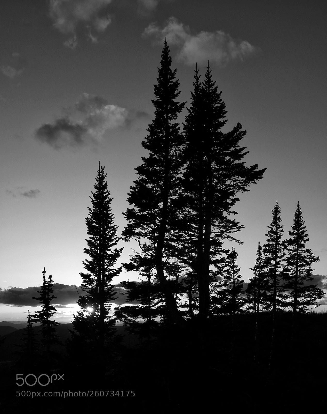 Canon EOS 600D (Rebel EOS T3i / EOS Kiss X5) sample photo. Simple silhouette photography