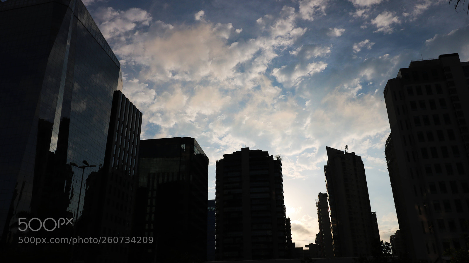 Canon EOS 750D (EOS Rebel T6i / EOS Kiss X8i) sample photo. Casting a big shadow photography