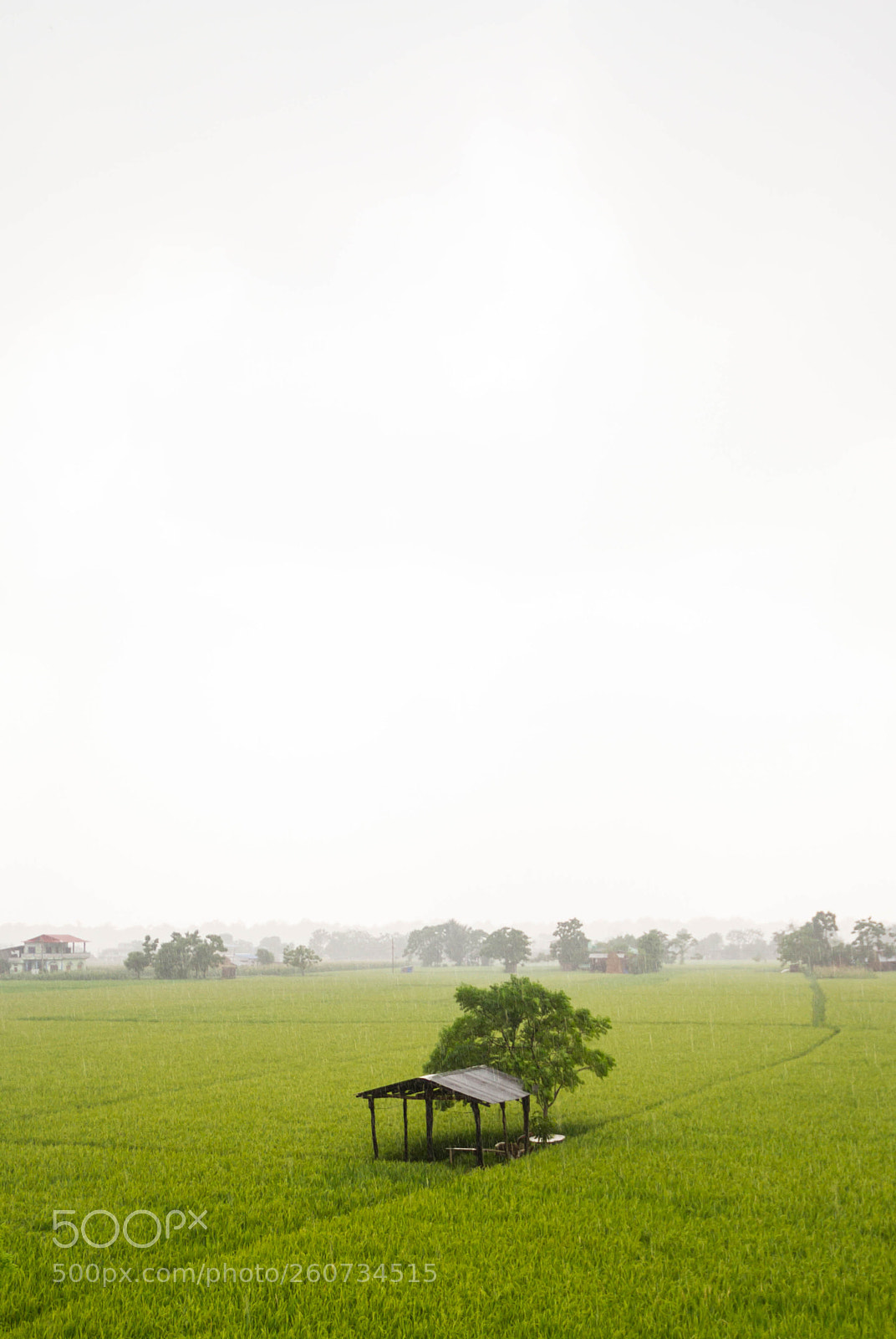 Canon EOS 7D sample photo. The most beautiful day photography