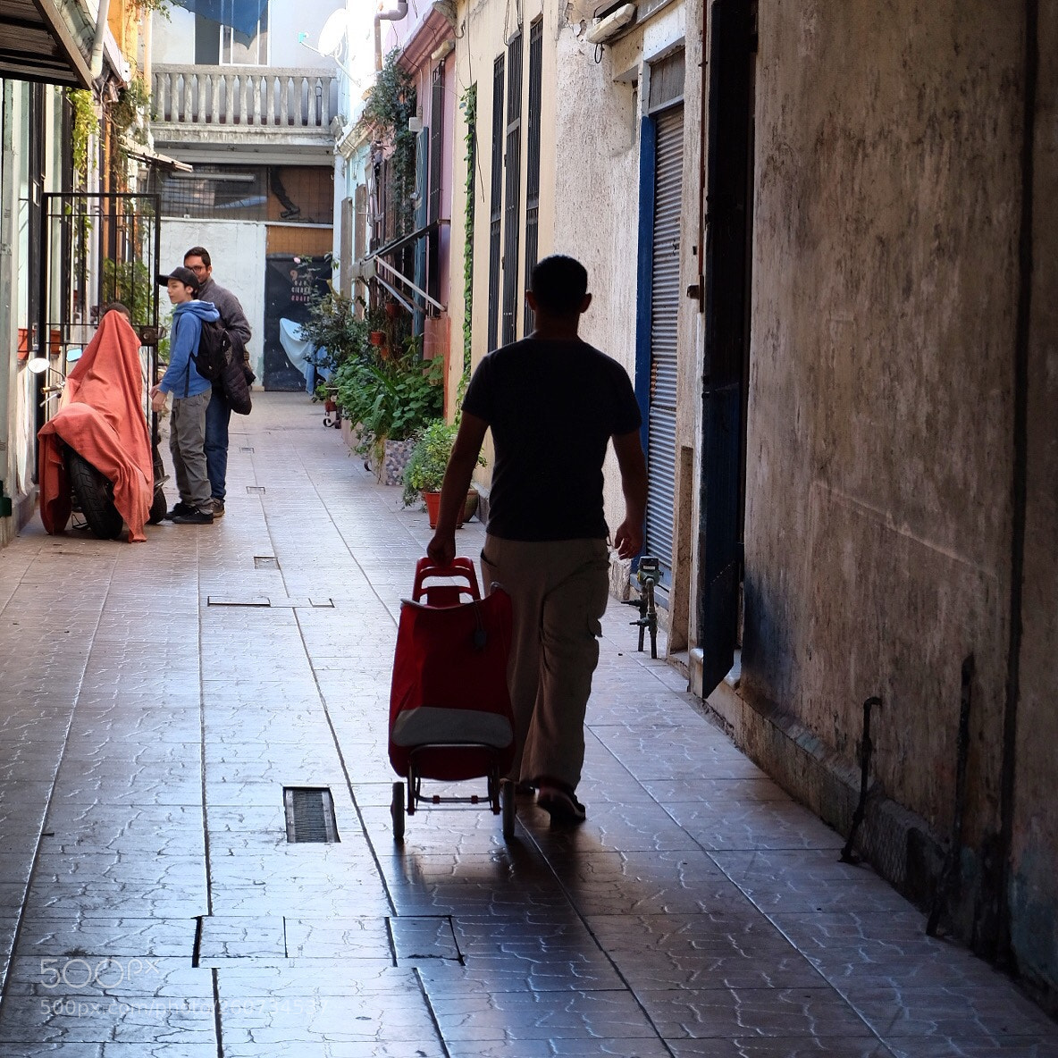 Fujifilm X-T10 sample photo. Untitled photography