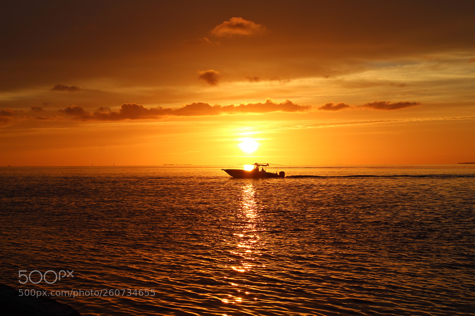 Canon EOS 1300D (EOS Rebel T6 / EOS Kiss X80) sample photo. Ride into the sunset photography