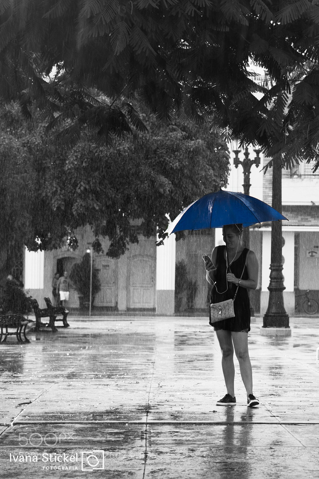 Nikon D750 sample photo. Editar photography