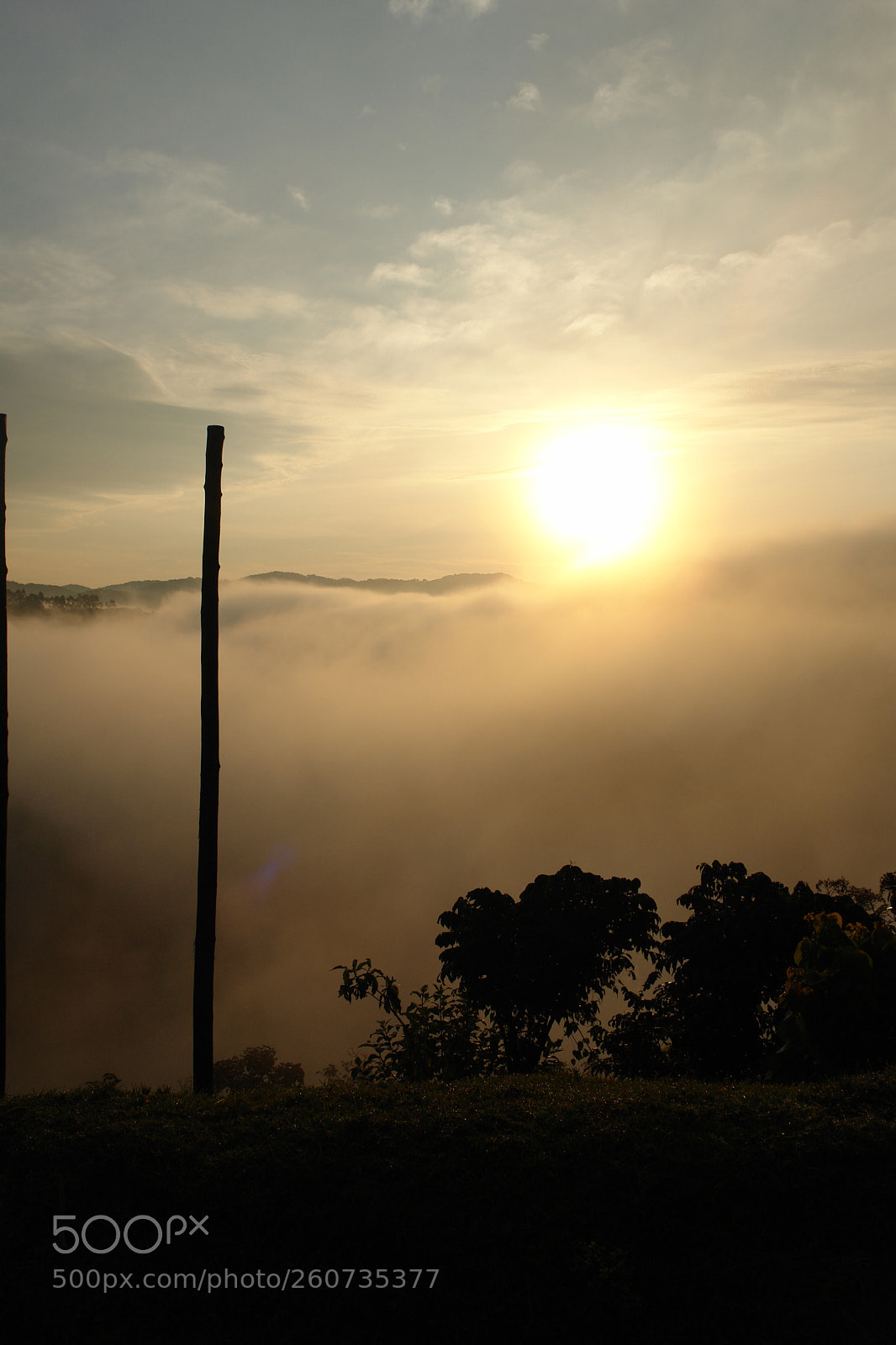 Sony DSC-R1 sample photo. Kibale sunrise photography