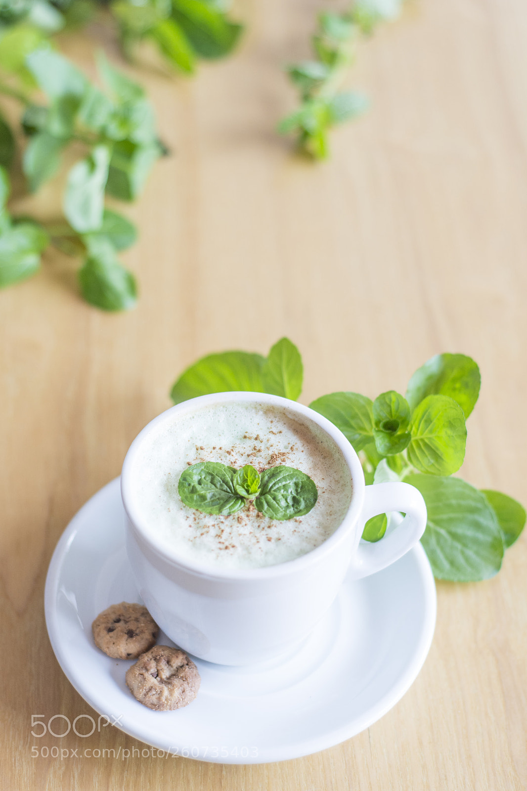 Nikon D7100 sample photo. Capuchino menta photography
