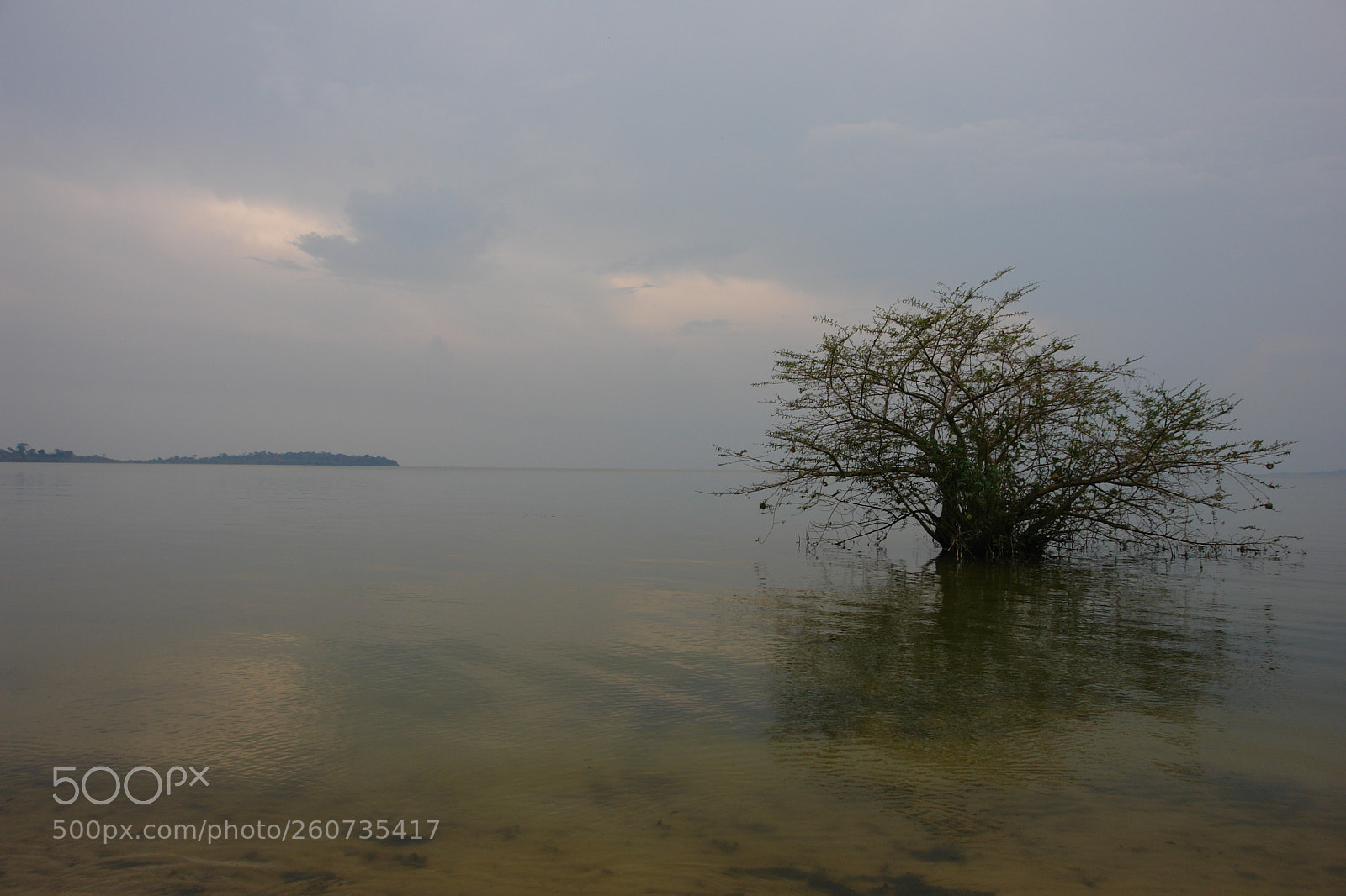 Sony DSC-R1 sample photo. Bugala island photography