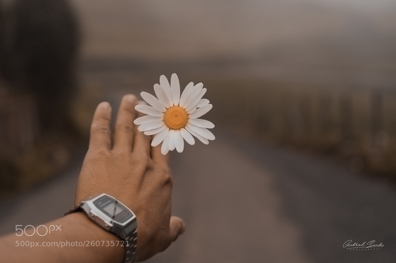 Sony a6300 sample photo. Untitled photography