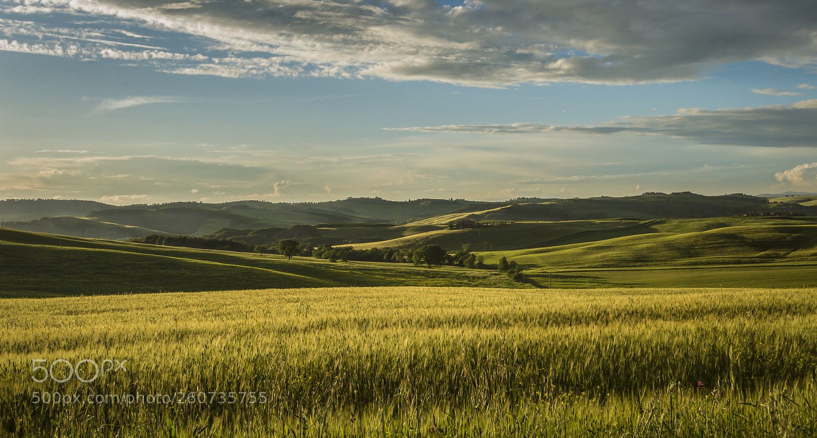 Nikon D610 sample photo. Val d'orcia photography