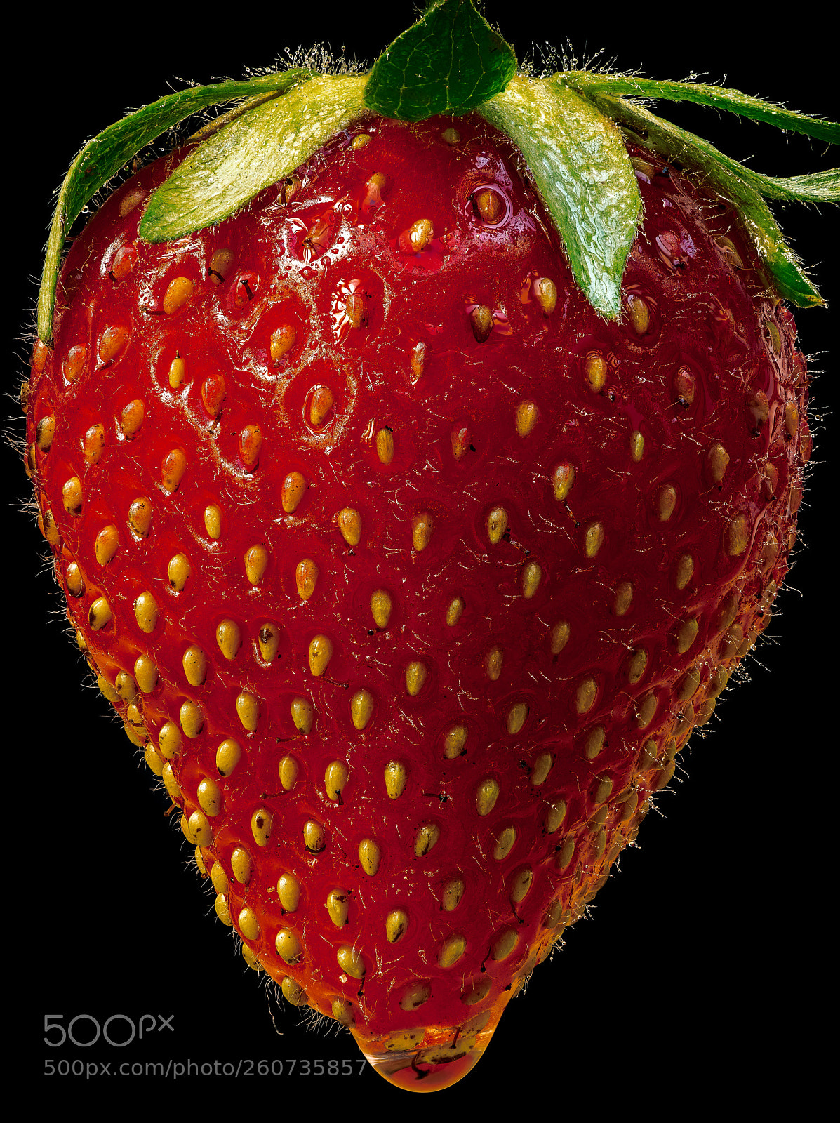 Nikon D850 sample photo. Lonesome strawberry photography