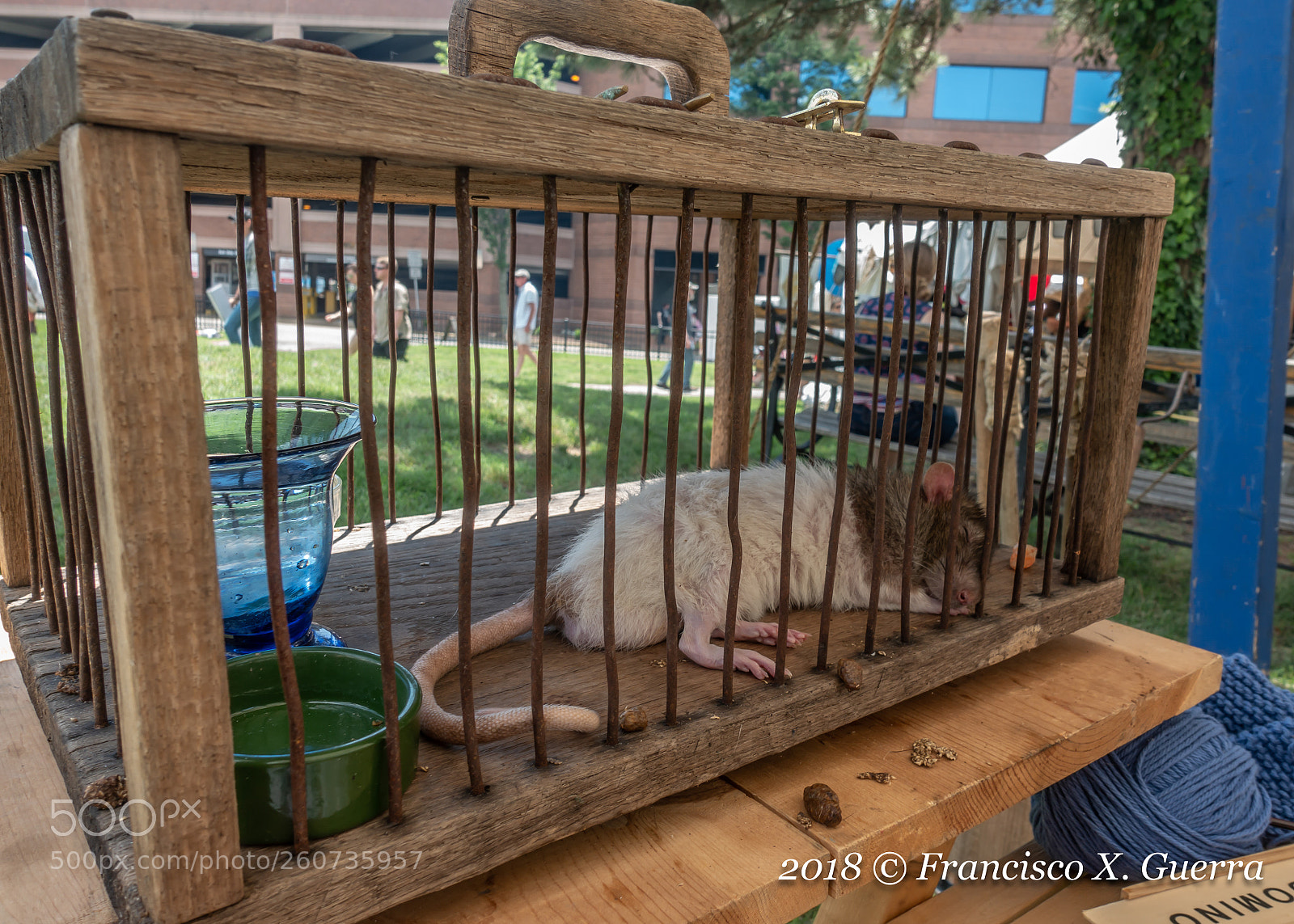 Sony DSC-RX100M5 sample photo. 2018 blackbeard pirate festival photography