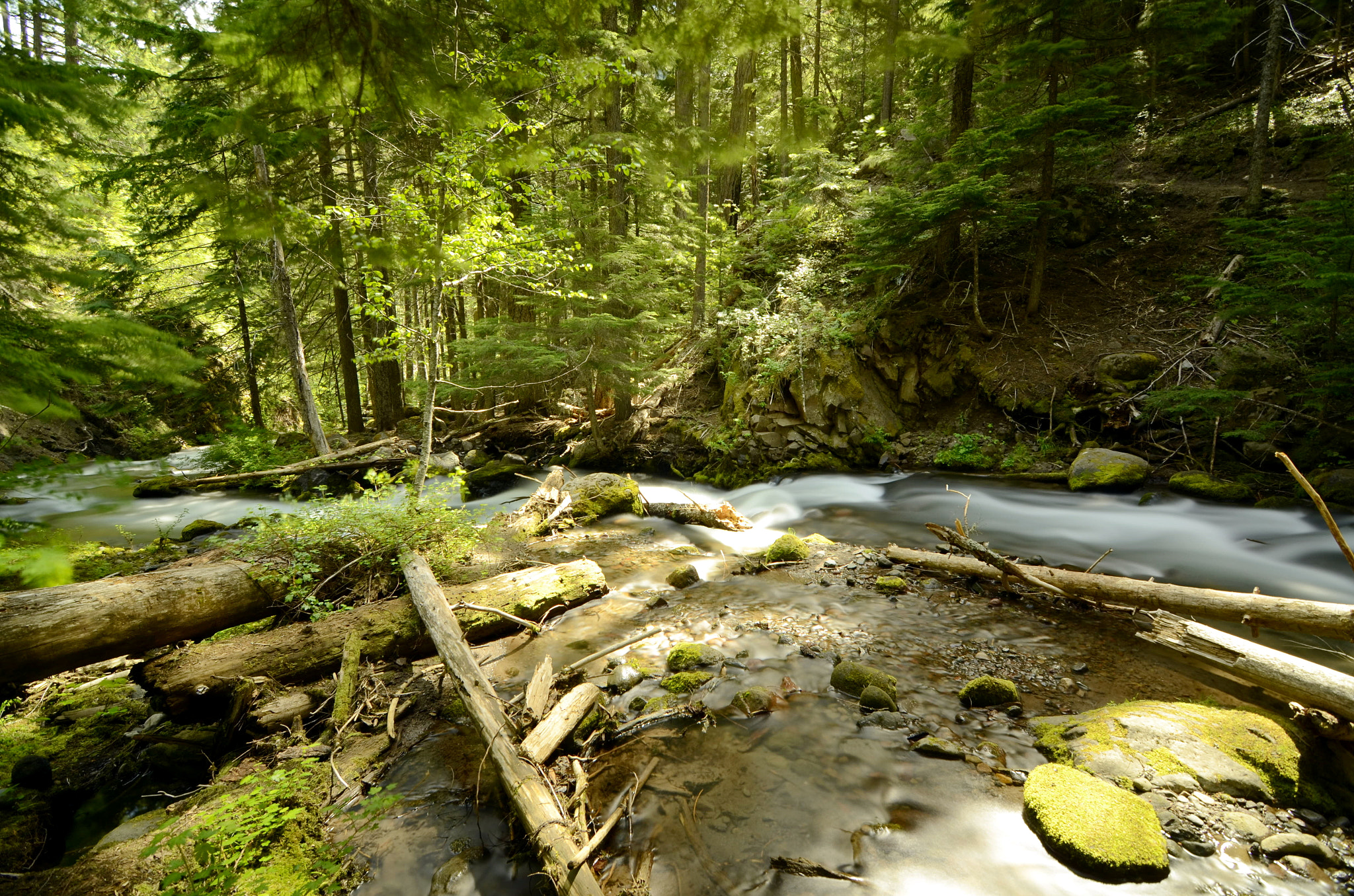Nikon D7000 sample photo. Cold spring creek 1 photography