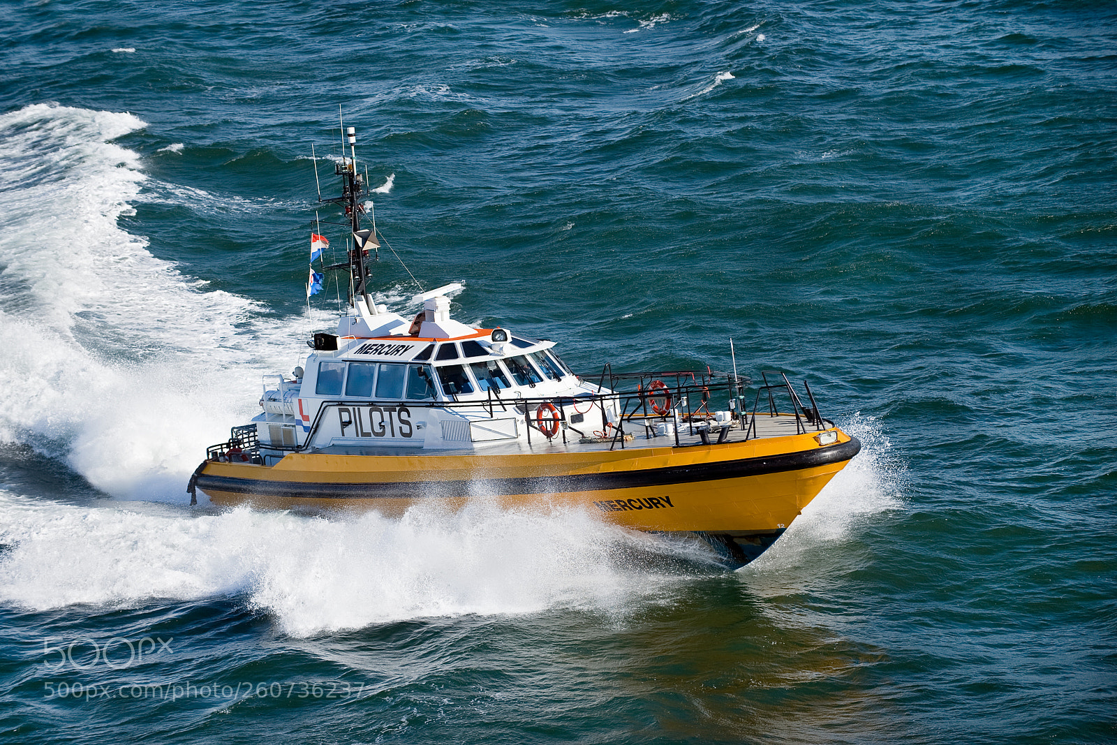 Nikon D700 sample photo. Picture of the day photography