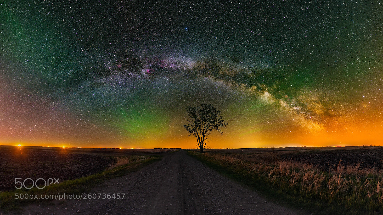 Nikon D800E sample photo. Milky way pano tree photography
