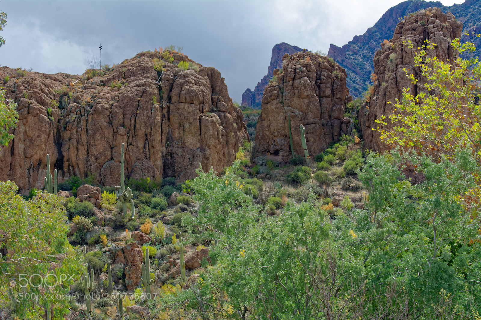Nikon D7100 sample photo. Arizona  photography