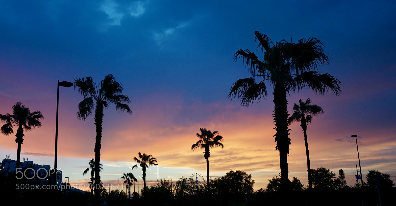 Sony a6000 sample photo. Orlando skyline photography