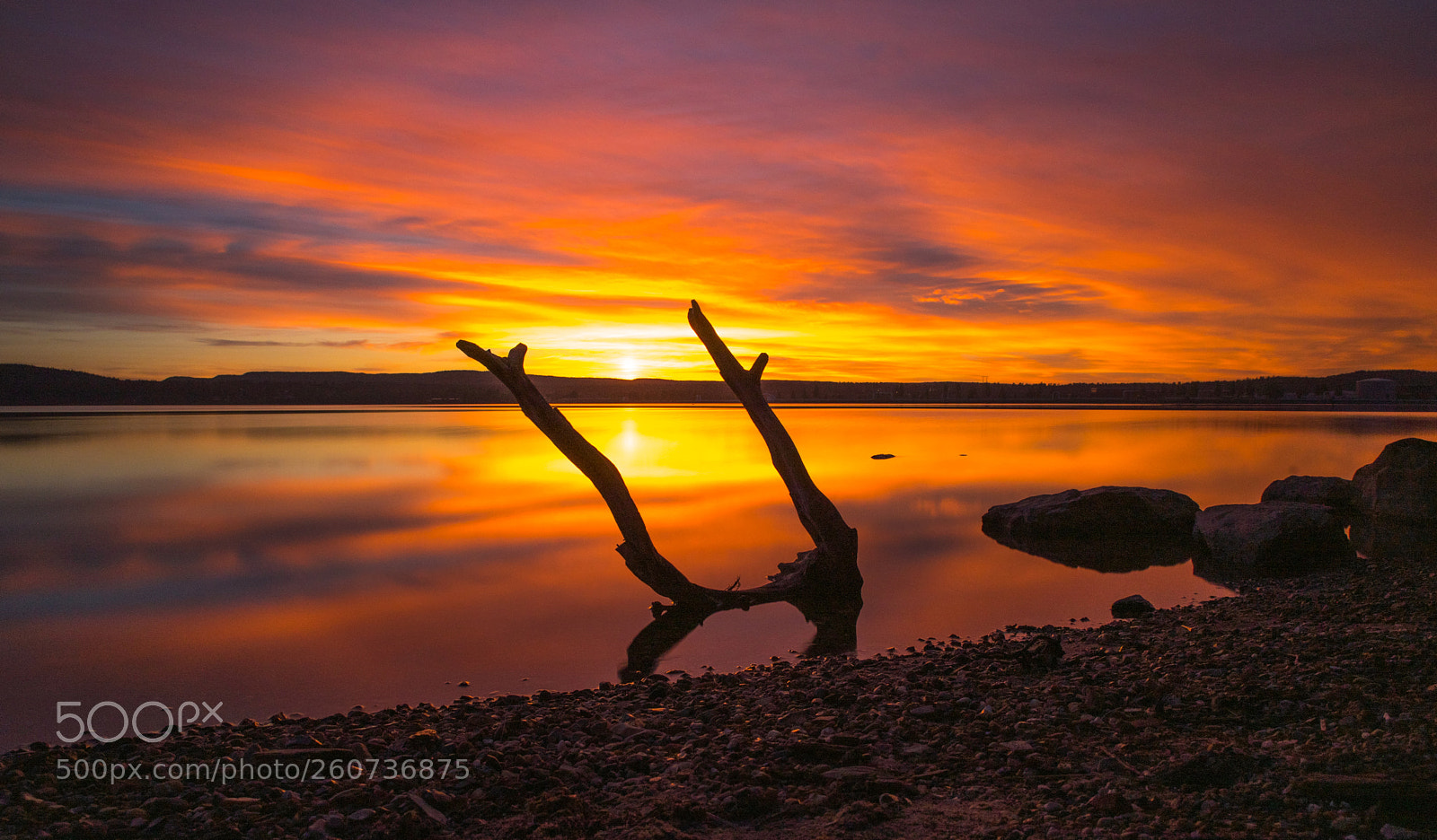 Nikon D750 sample photo. Raindeer horn sunset. photography