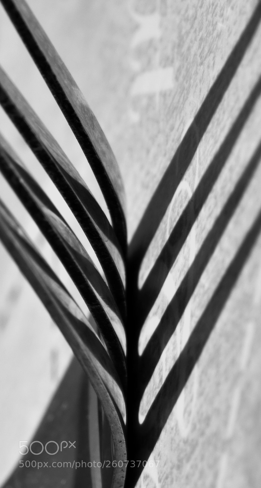 Nikon D7200 sample photo. The diagonals photography
