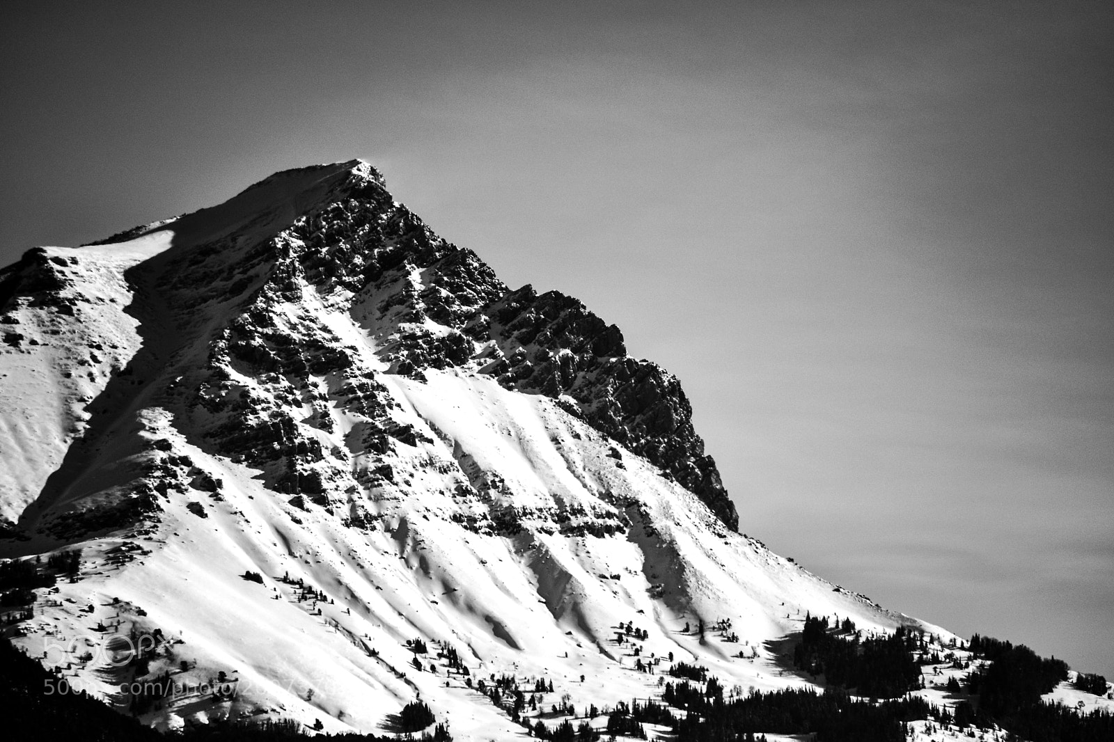Nikon D5500 sample photo. Sheep mountian photography