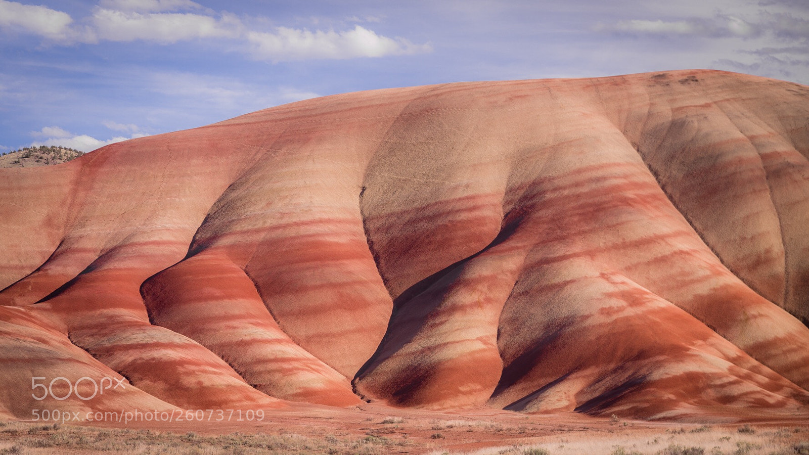 Canon EOS 6D sample photo. Painted hills photography
