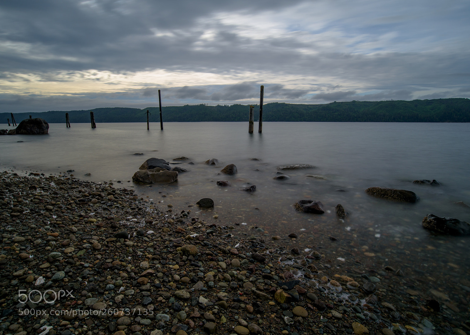 Nikon D750 sample photo. Hood canal photography