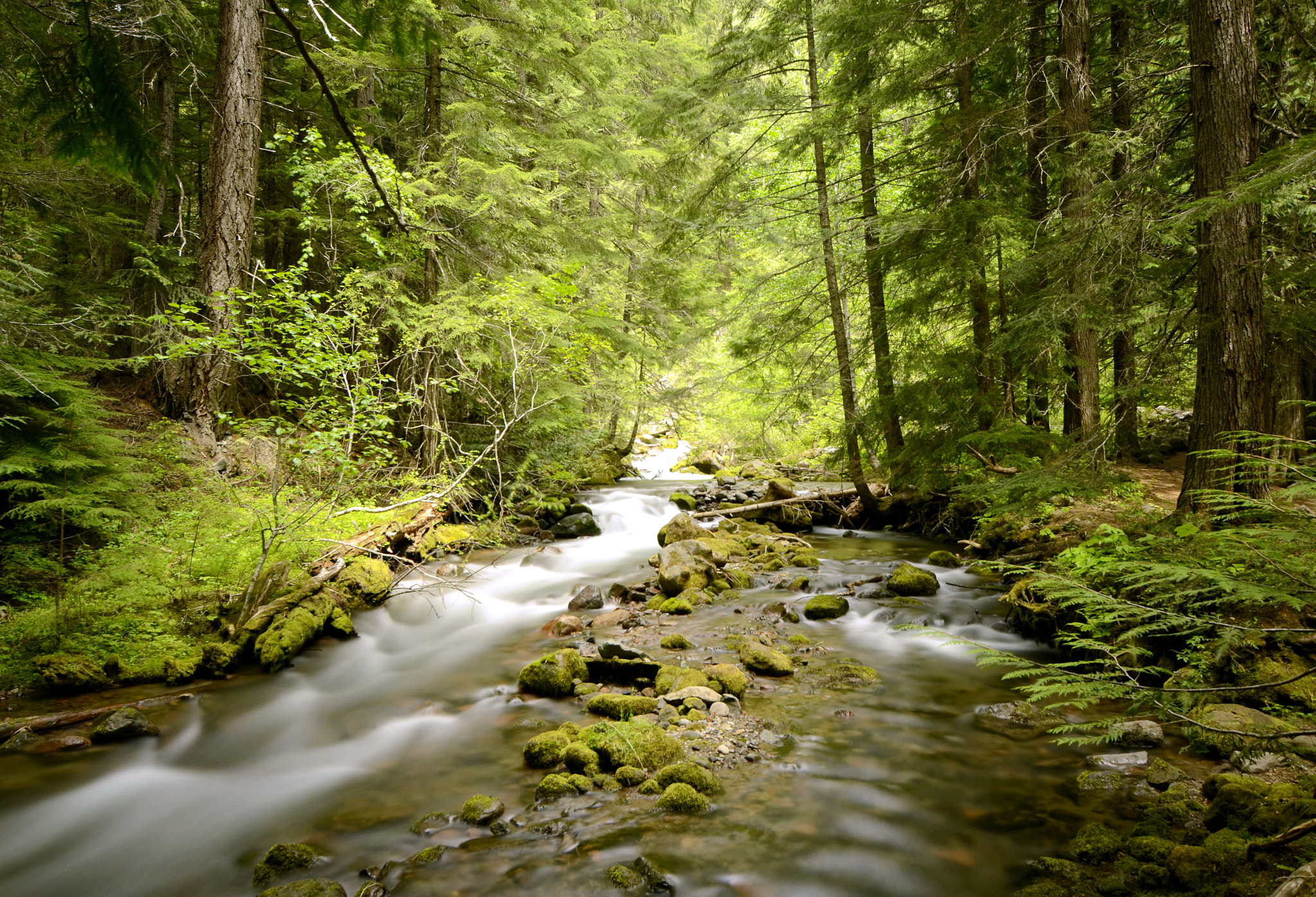 Nikon D7000 sample photo. Cold spring creek 2 photography