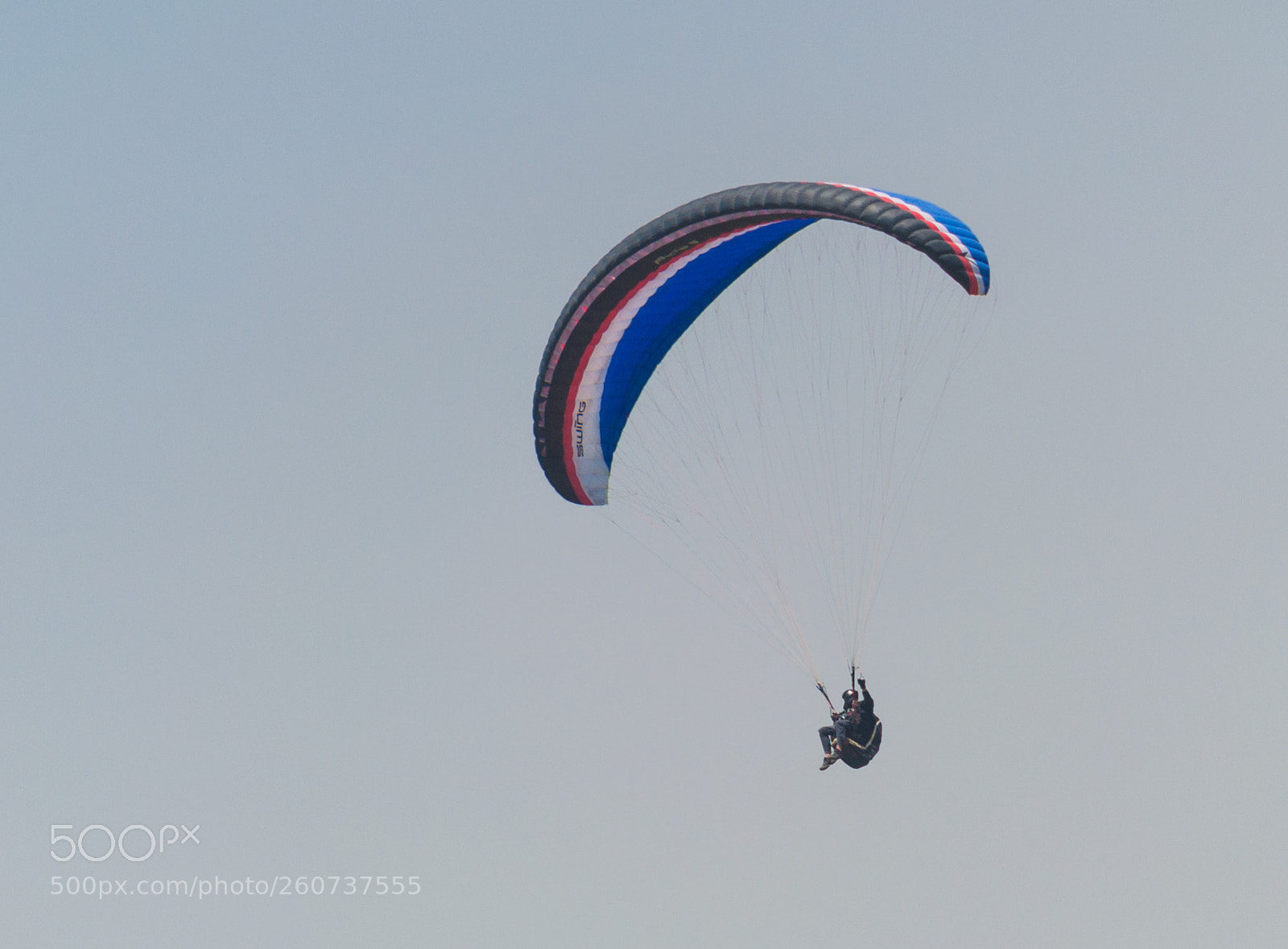 Nikon D90 sample photo. Red white and blue photography