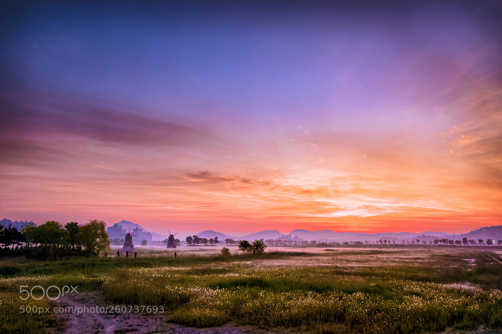 Nikon D500 sample photo. The dawn of wetlands photography